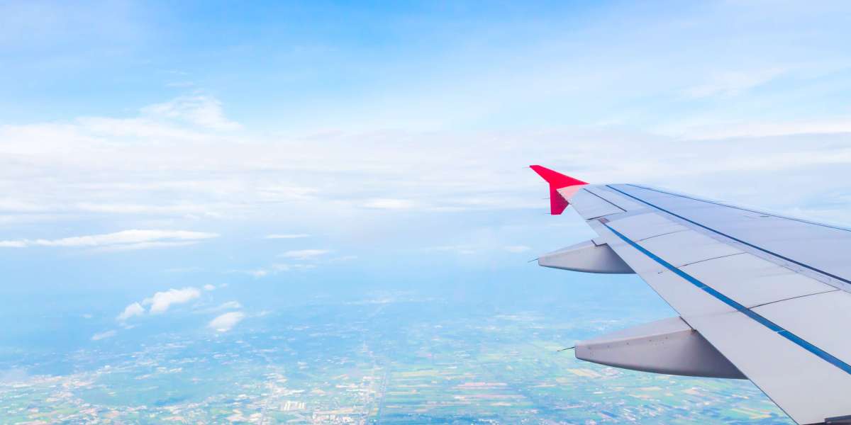 Name Change Flight Ticket: What to Do When You Notice an Error at the Last Minute