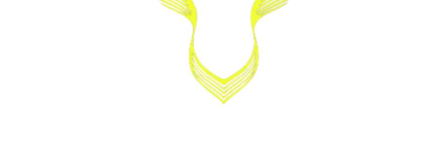 Lewis Hamilton Merch Cover Image