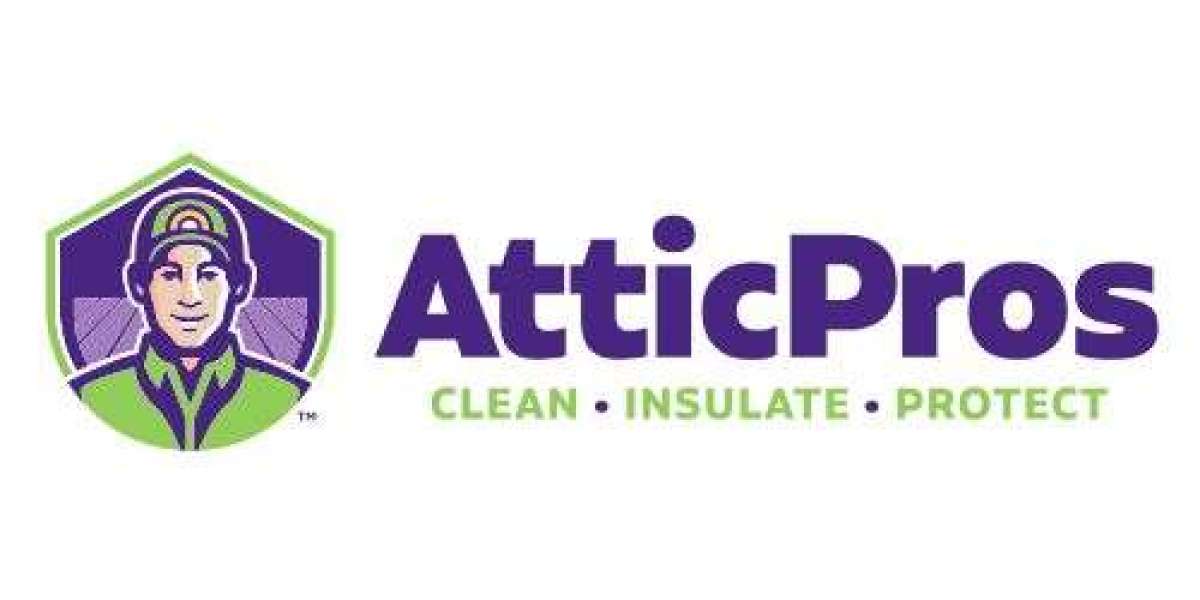 Professional Attic Rodent Control | Inspection, Removal & Prevention