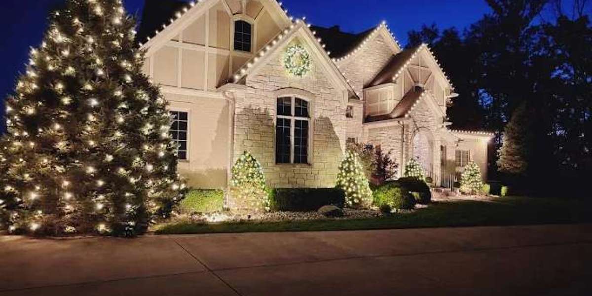 Professional Christmas Light Installation in Naples, FL