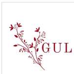 gul bhahar Profile Picture