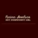 Naina Amritsar Profile Picture