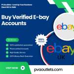 Buy Verified eBay Accounts Profile Picture