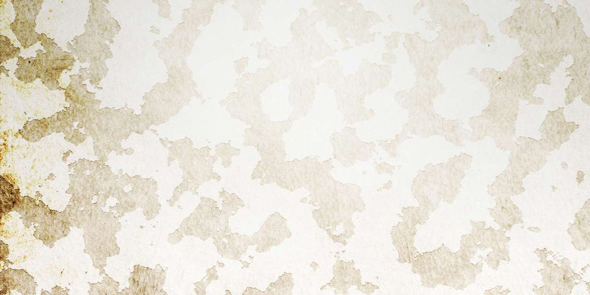 Exploring On-line Eating Disorder Treatment: Efficacy, Accessibility, And Future Directions