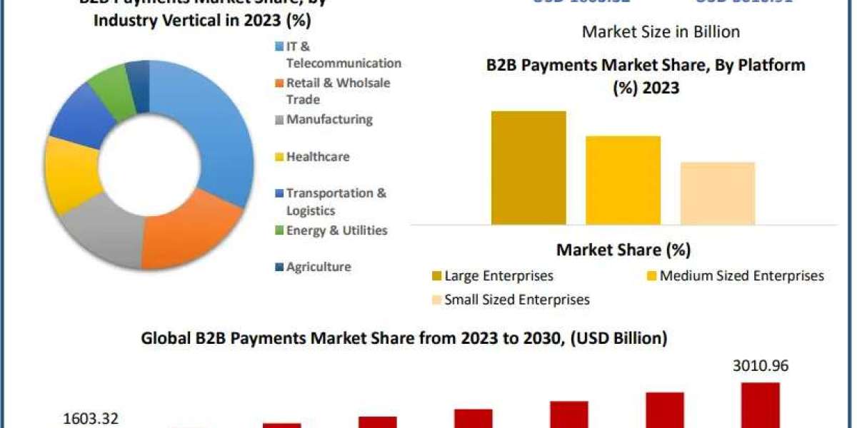 B2B Payments Market Drivers, Innovations, and Growth Pathways (2024-2030)