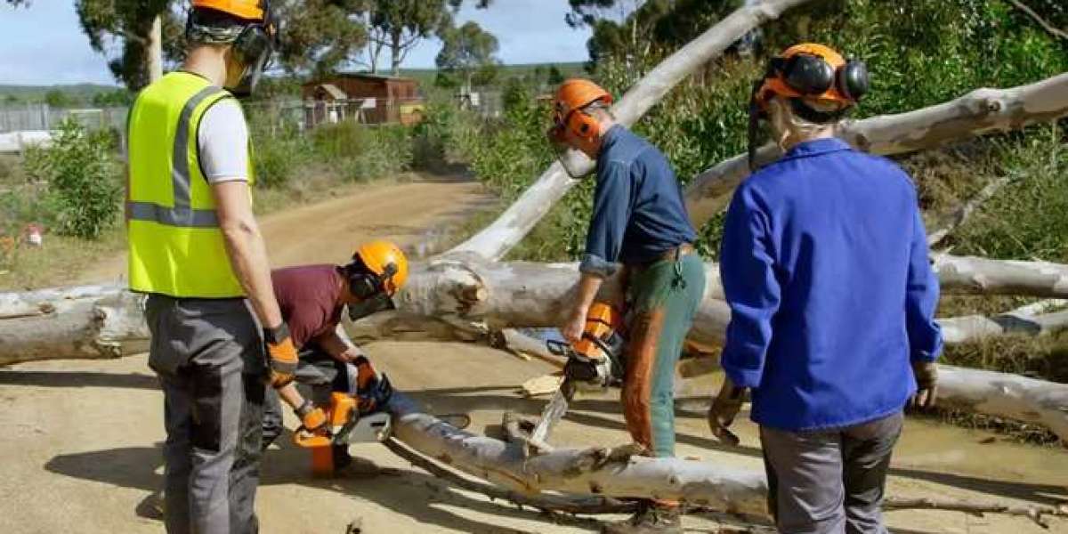 Modern Project Intelligence Systems Supporting Superior Outcomes