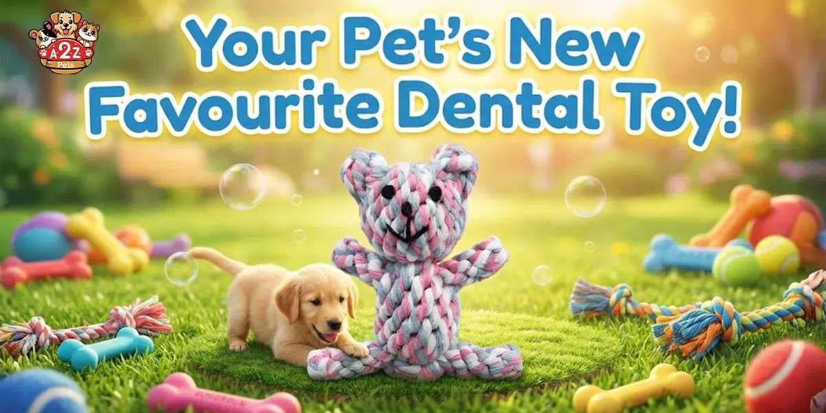 Say Goodbye to Doggie Bad Breath: A2ZPets Launches SUNGROW's Adorable Dental Chew Teddy Bears