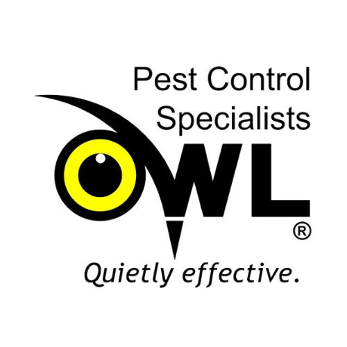 Top Reasons That Make the Services of the Best Pest Control Dublin Companies Special  -  TheOmniBuzz