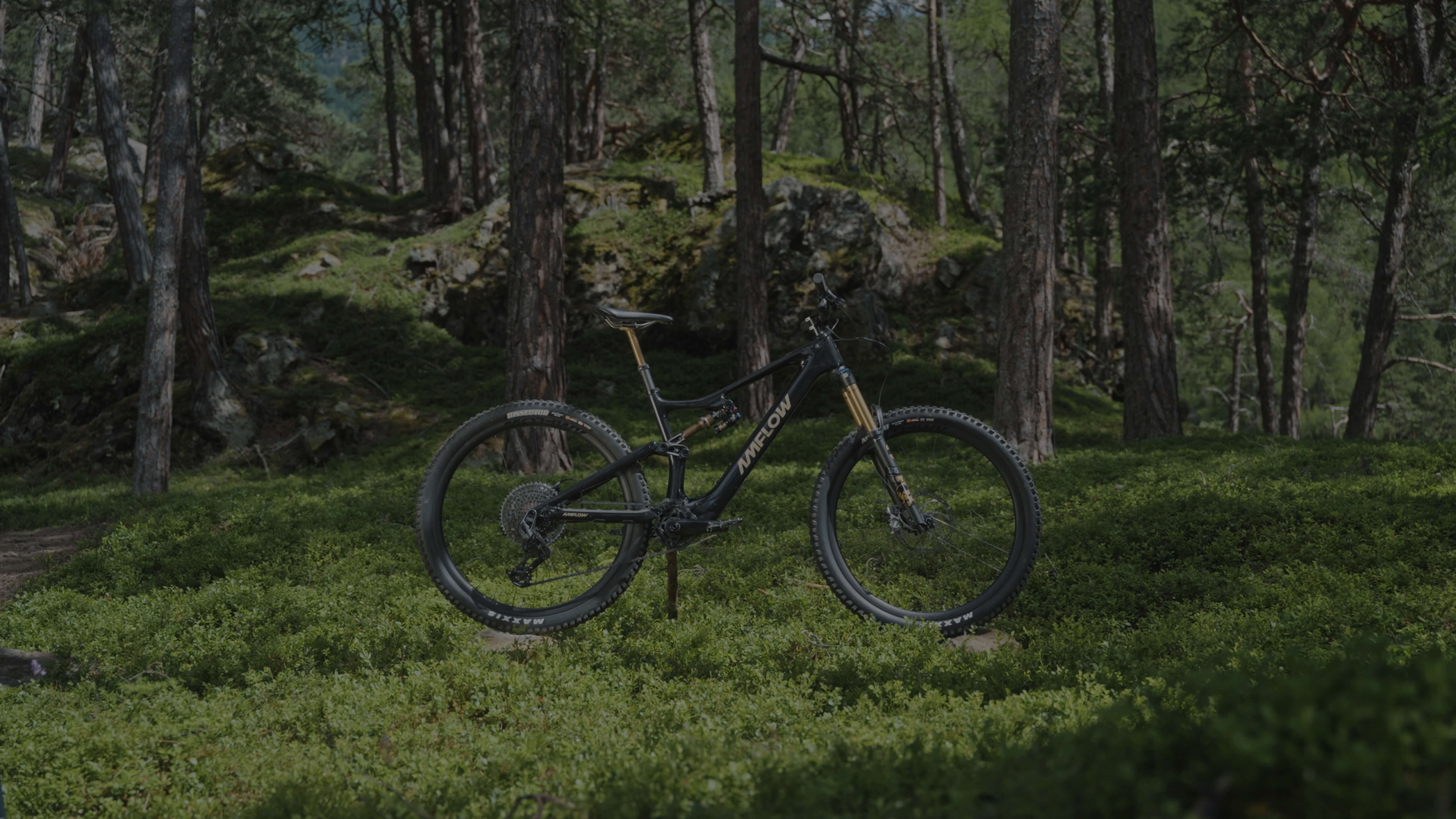 Le VTT Électrique : Quand la Technologie Repousse les Limites de l’Aventure – Site Title