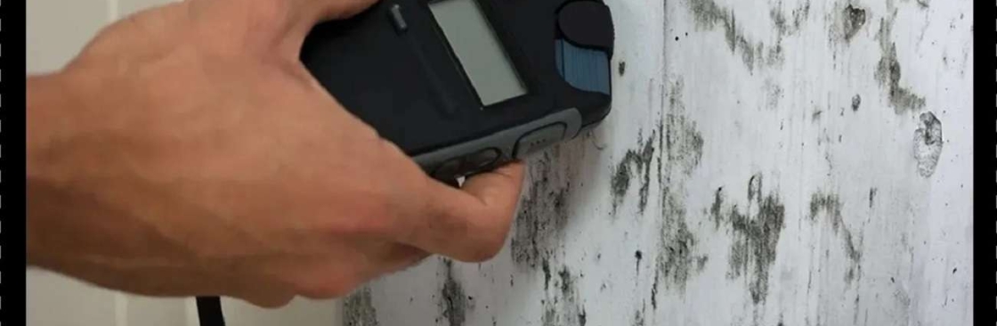 Mould Medico Cover Image