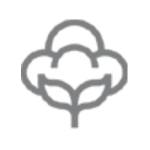 Daxin Fiber Profile Picture