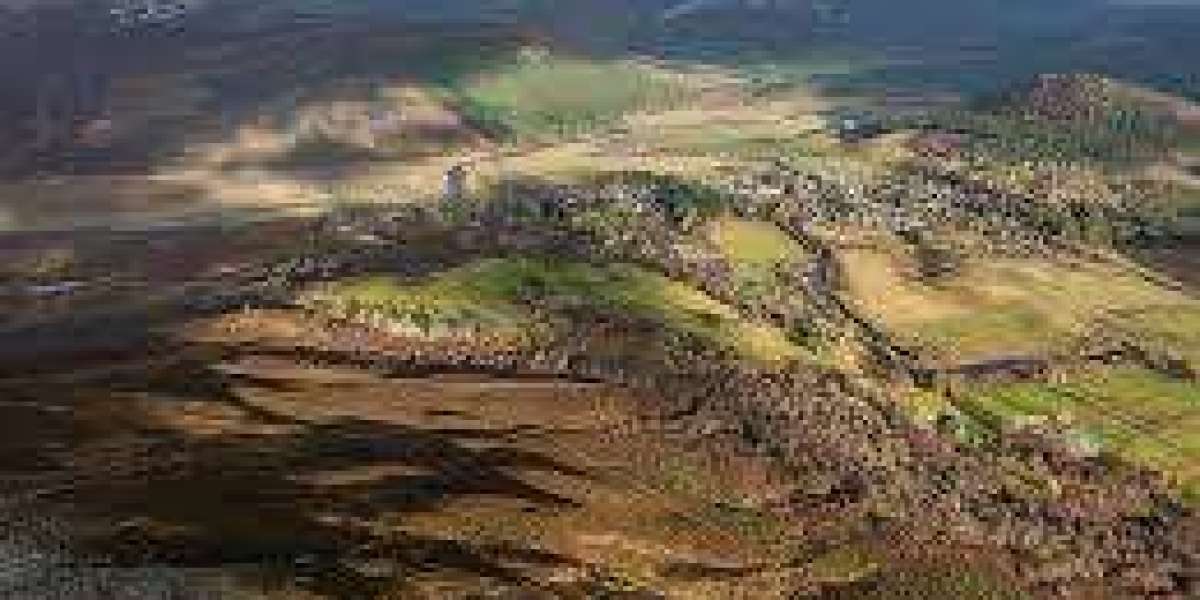 Lord Braemar: Nobility, Heritage, and Timeless Influence