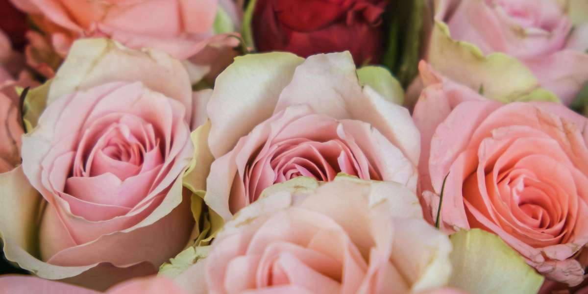 u4gm What POE2 Early Builds Should You Try First Guide