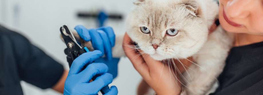 thegroomer Cover Image