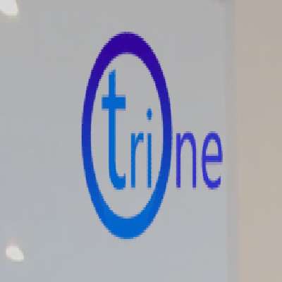 trionemanagement Profile Picture