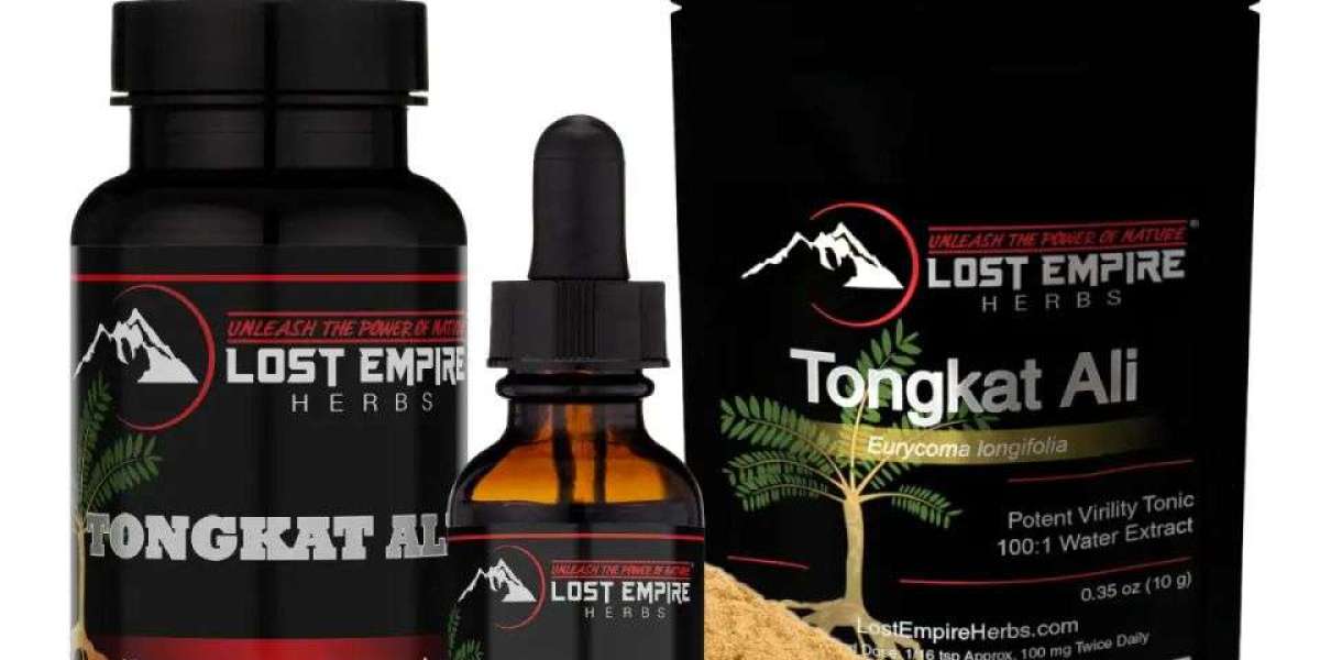 Beyond the Gym: Holistic Male Health Strategies