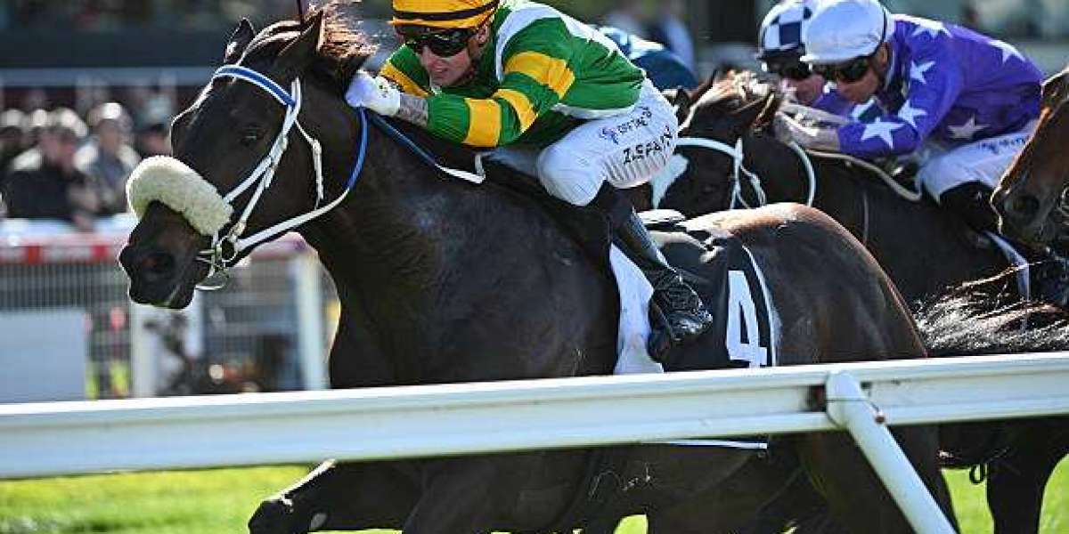 Choosing a Reliable Australian Betting Platform: A Practical Guide