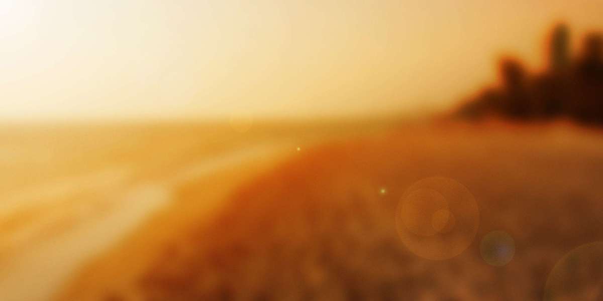 Birch Gold Group: A Closer Look at the BBB Ratings and Customer Experiences