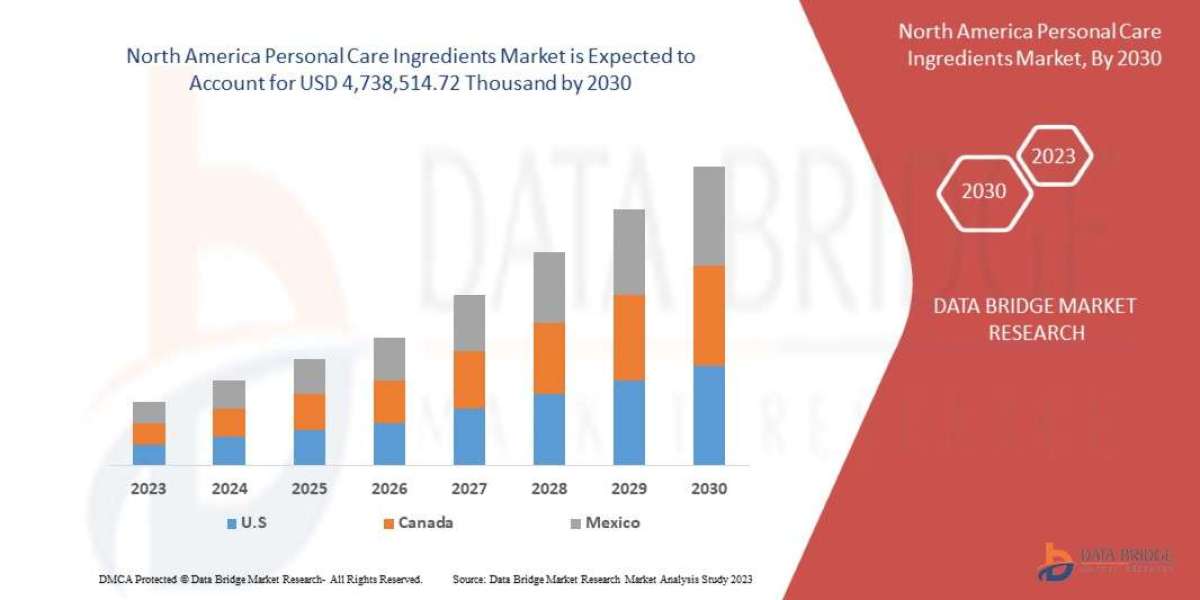 North America Personal Care Ingredients Market Size, Share, Trends, Key Drivers, Growth and Opportunity Analysis