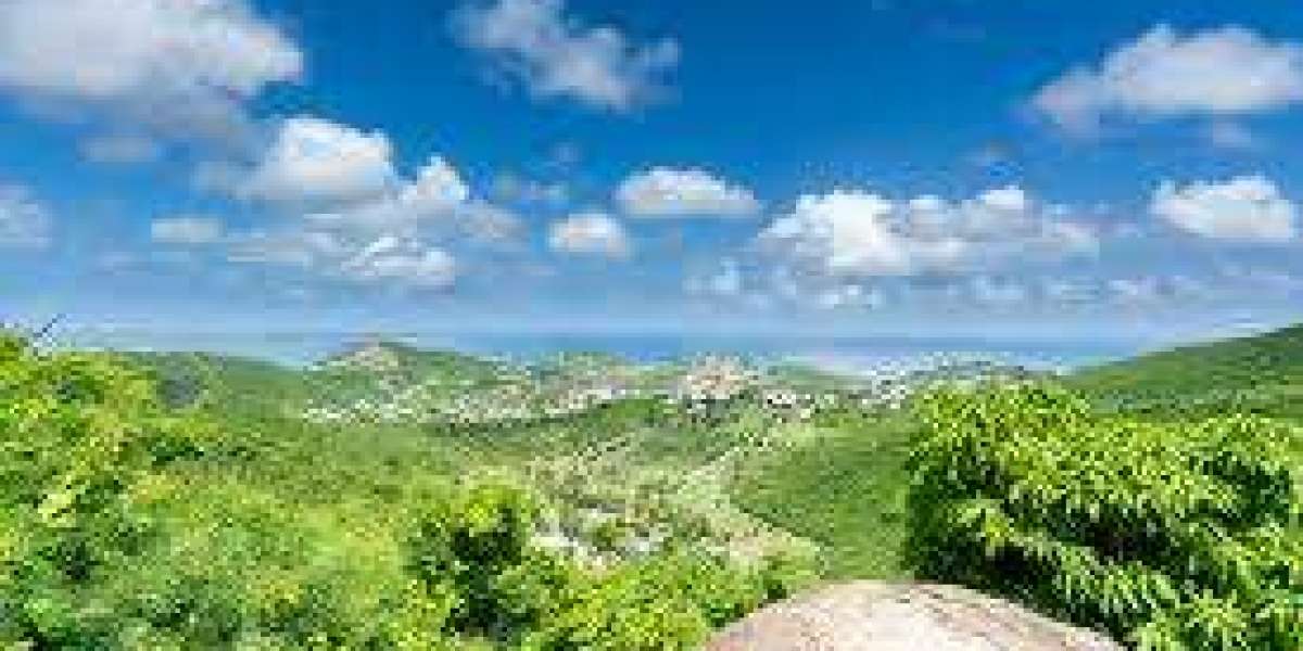 Ig Heavy Chain: The Central Component of Antibody Function