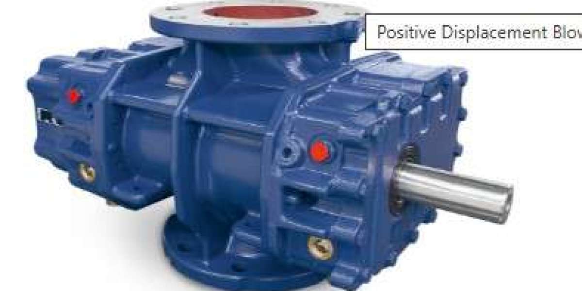 Understanding Pressure, Flow, and Performance Curves of PD Blowers