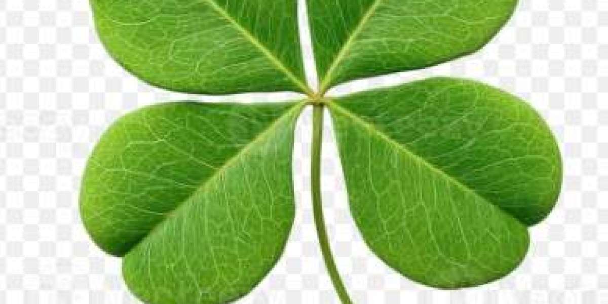 How to Identify a True Natural Four-Leaf Clover
