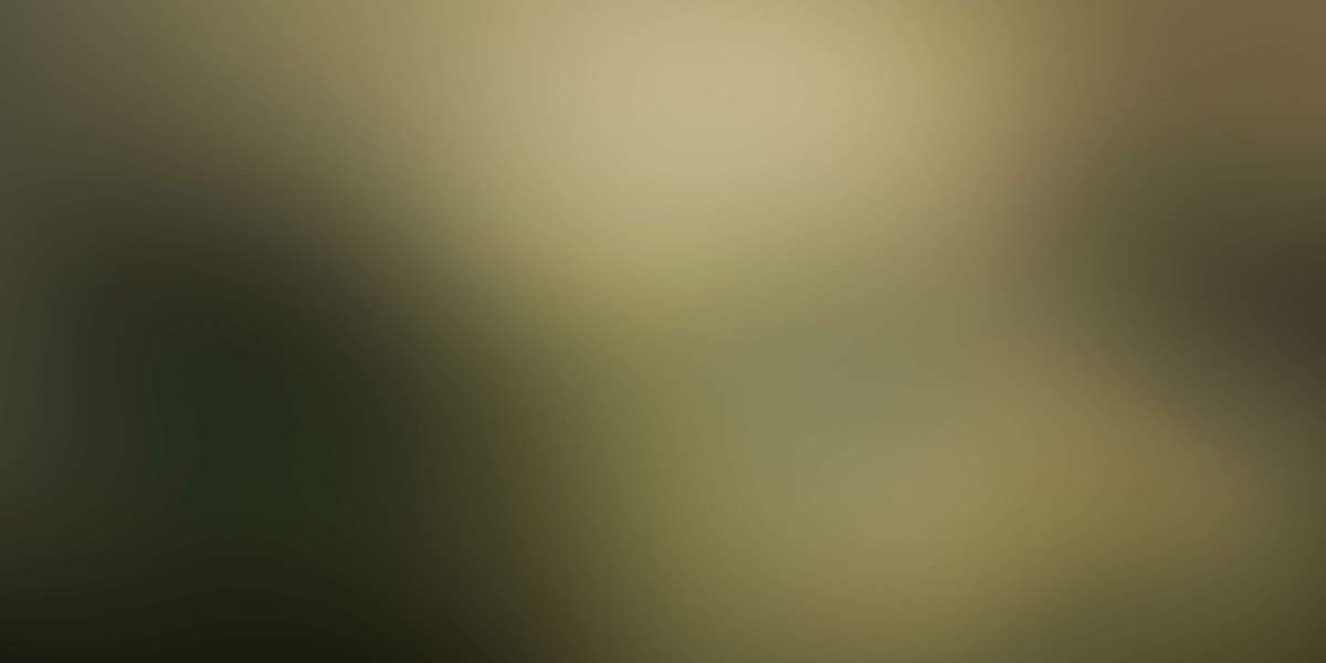 Gold IRA Investments: A Secure Path to Retirement Wealth