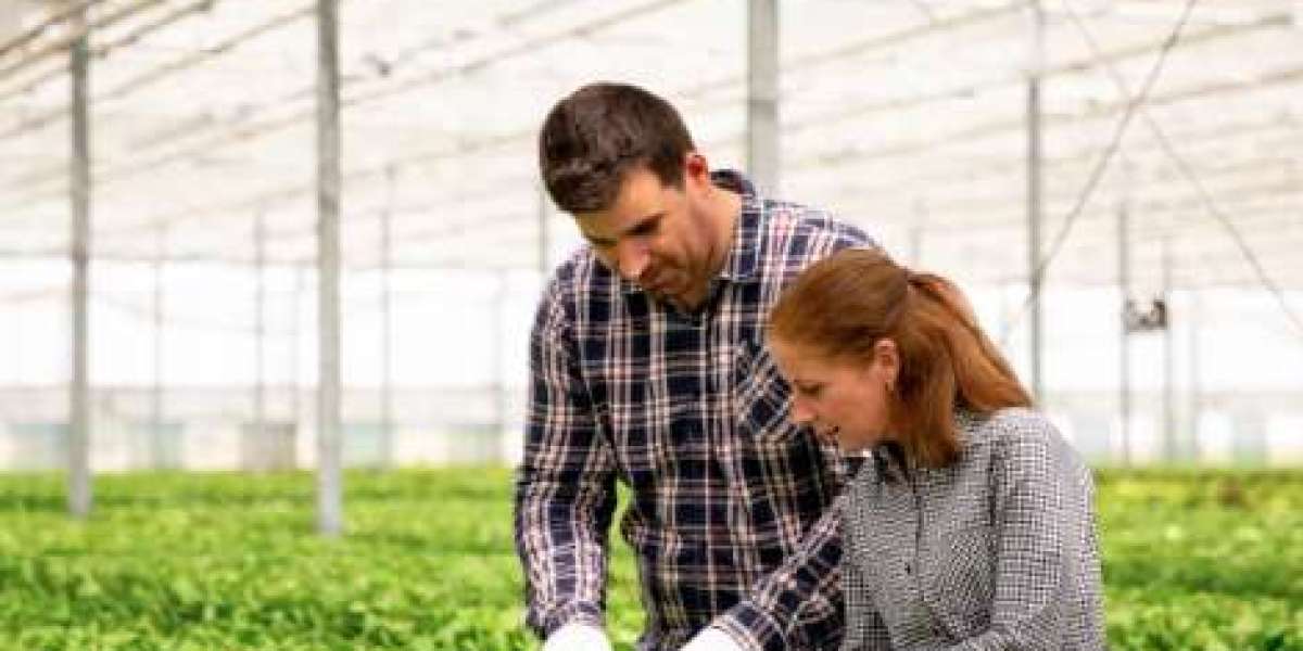 Winery Tax CPA | Central Coast & Napa Valley Tax Specialists