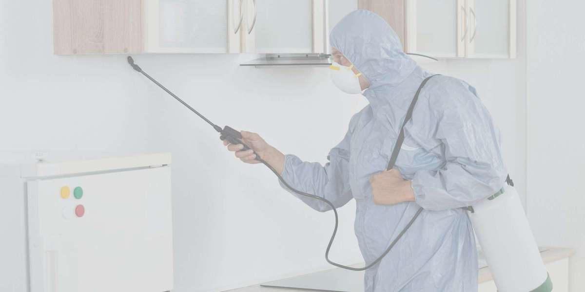 Professional Pest Control Company in Singapore