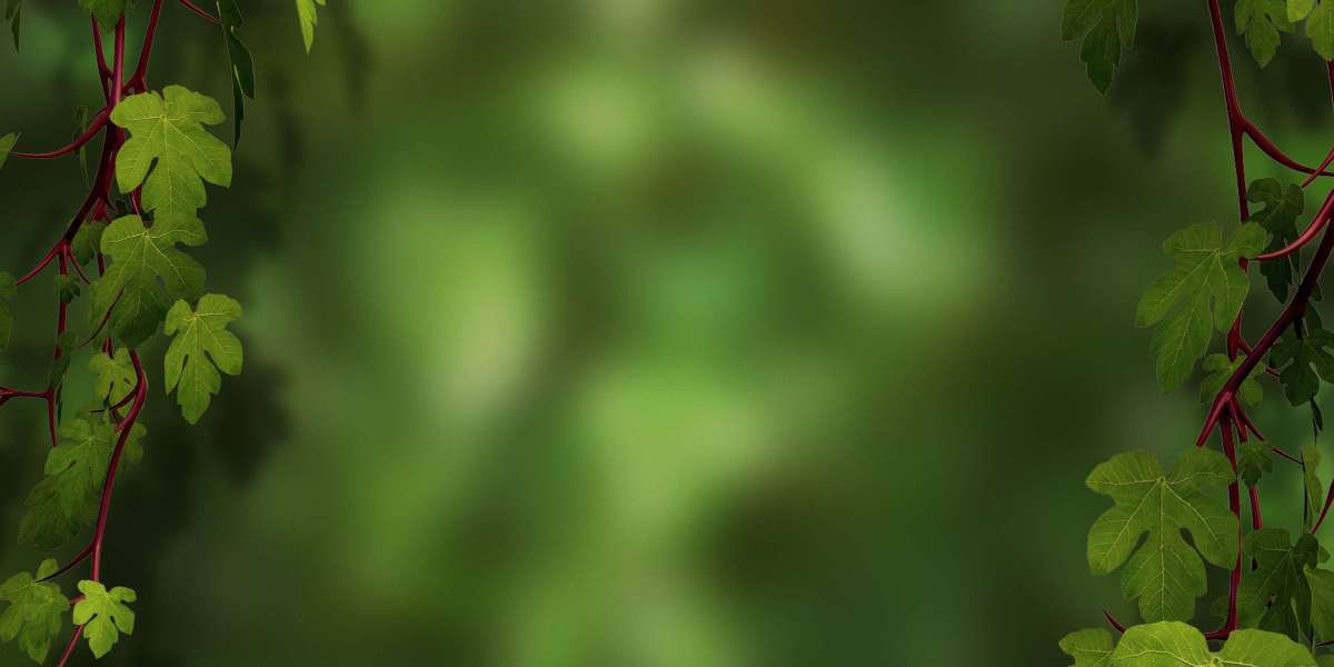 Understanding Gold IRAs: A Complete Guide To Precious Steel Investments