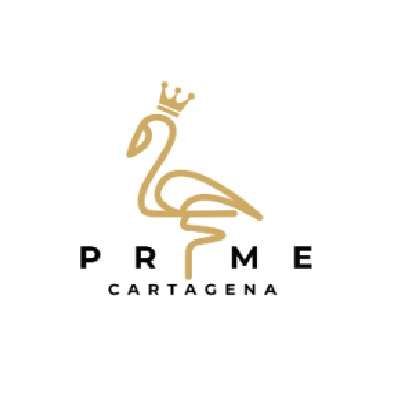 primecartagena Profile Picture