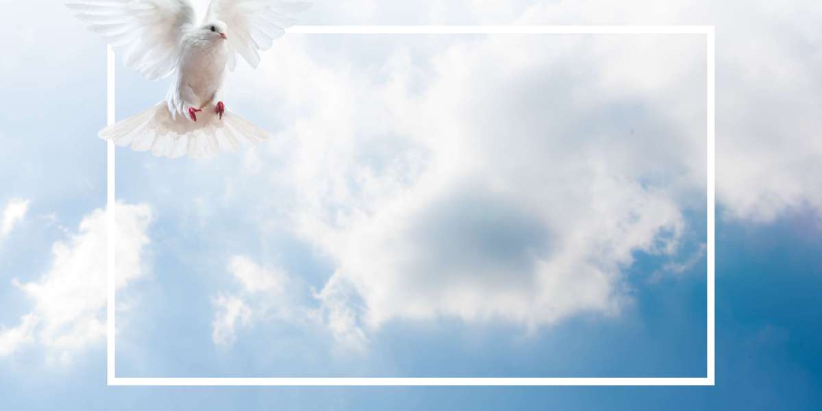 Corporate Jet Companies: An Overview of the Industry