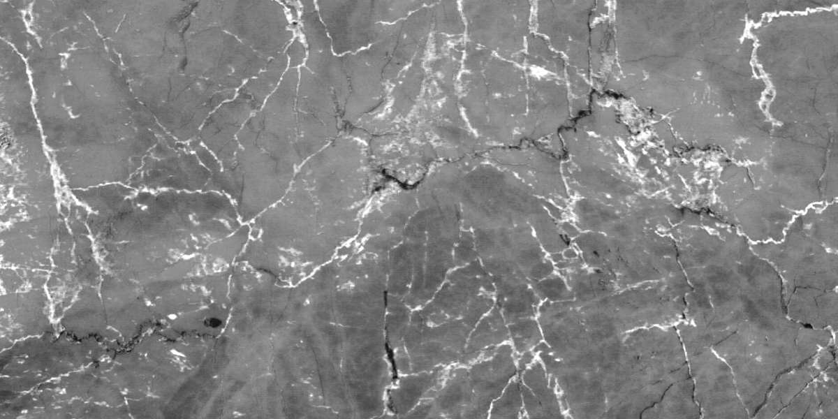 Understanding Gold IRA Companies: A Comprehensive Guide