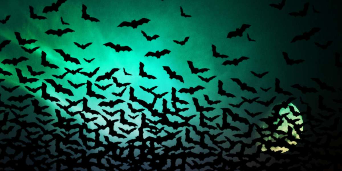 Exploring TD Ameritrade's Gold IRA: A Comprehensive Guide