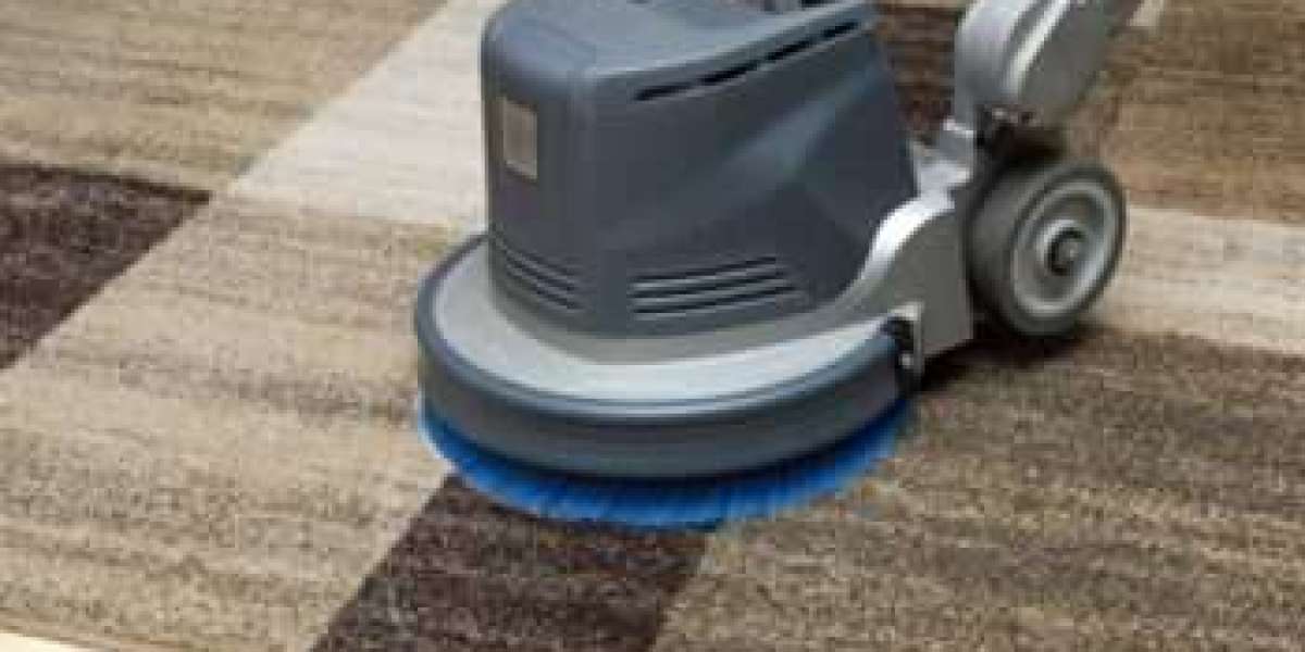 Carpet Cleaning Services That Keep Homes Looking New