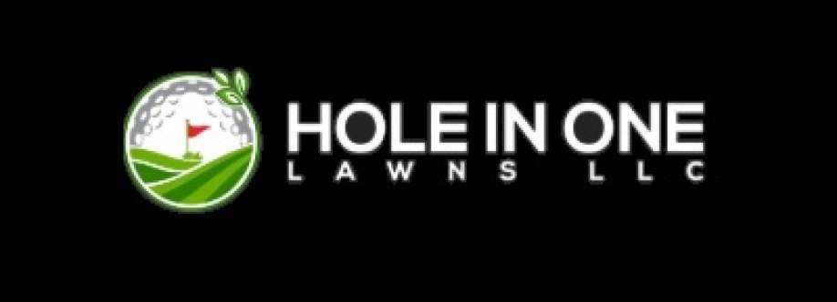 holeinonelawns Cover Image