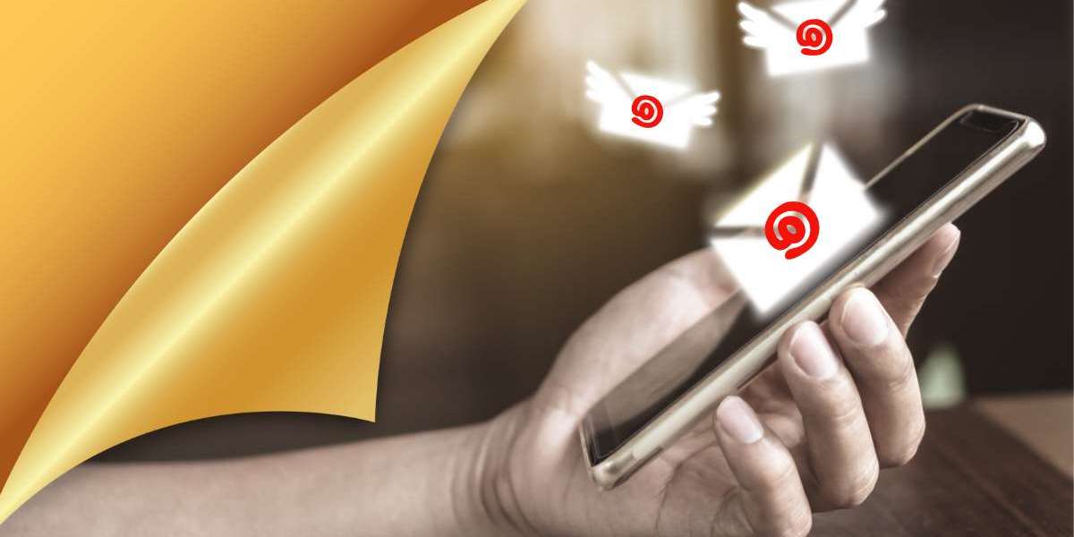 Netherlands Email List: Your Ultimate Guide to Effective Email Marketing