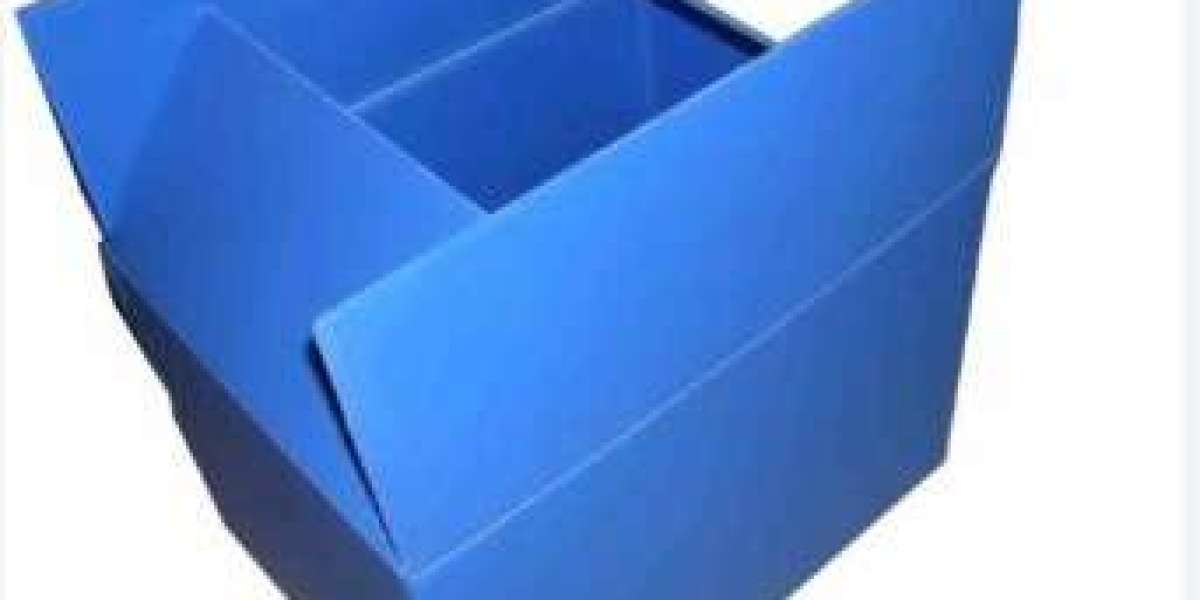 PP Hollow Boxes in Automotive and Electronics Packaging