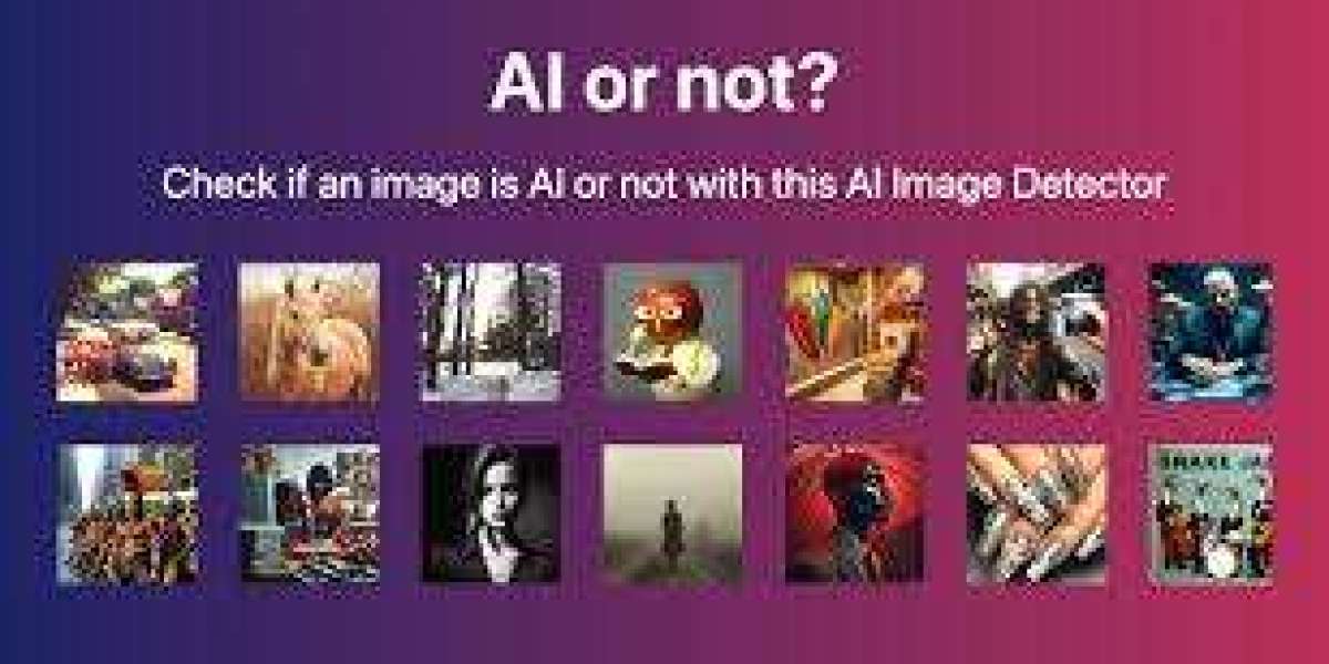 Kitchens Company Sheffield: Expert Solutions for Your Dream Kitchen