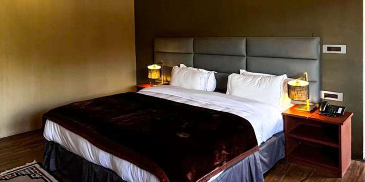 Discover Unforgettable Travel Experiences with Family Holiday Packages in Ladakh