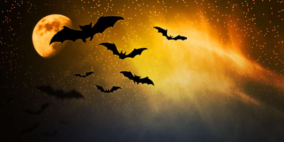 The Role of Gold IRA Companies In Diversifying Retirement Portfolios