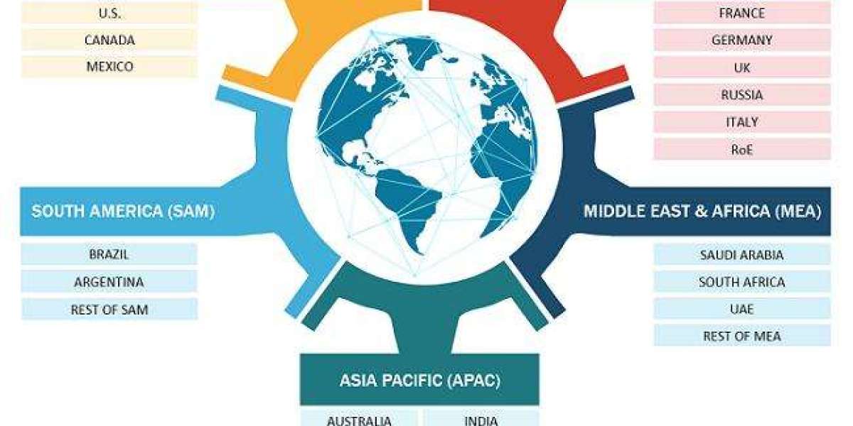 Biotin Supplements Market Growth Story: Empowering Confidence and Health Worldwide