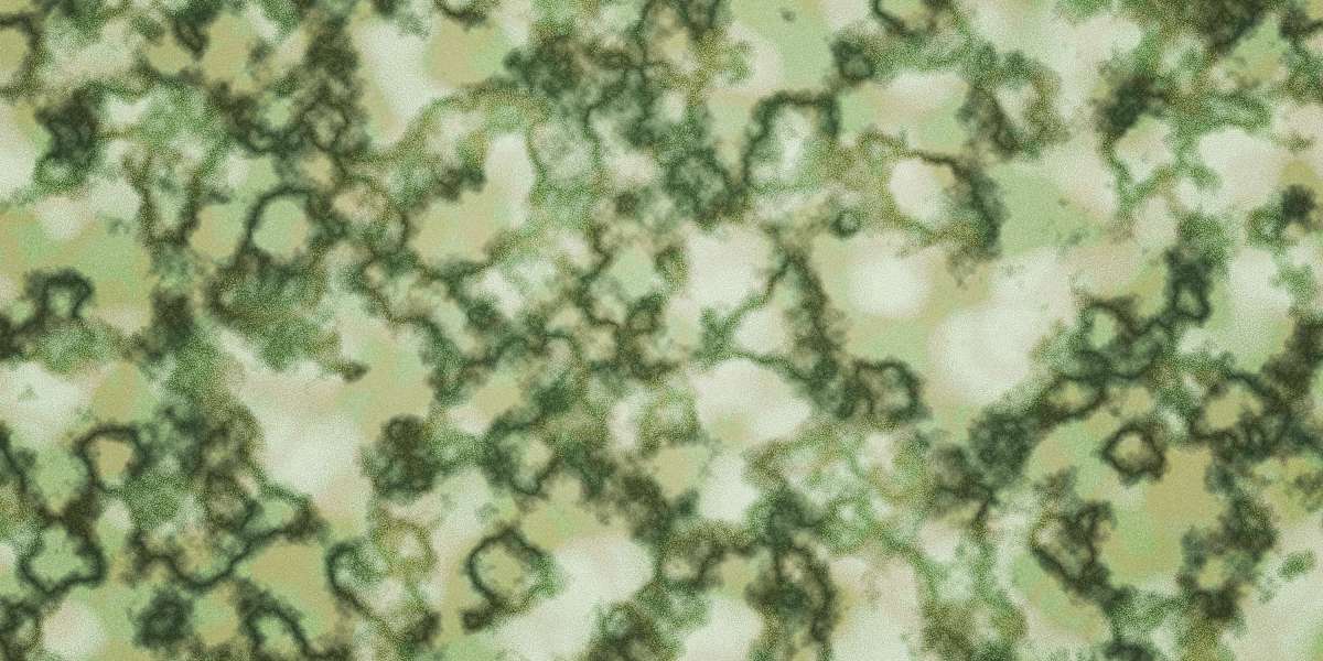 The Evolution and Impact of Private Jet Charter Services in Modern Aviation