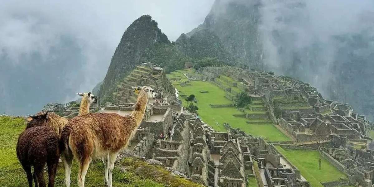 Laguna Humantay: Naturaleza y Paisajes Inolvidables