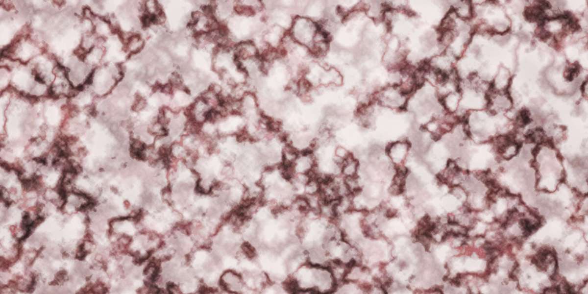 Exploring the Best Loans With No Credit Check: A Comprehensive Guide