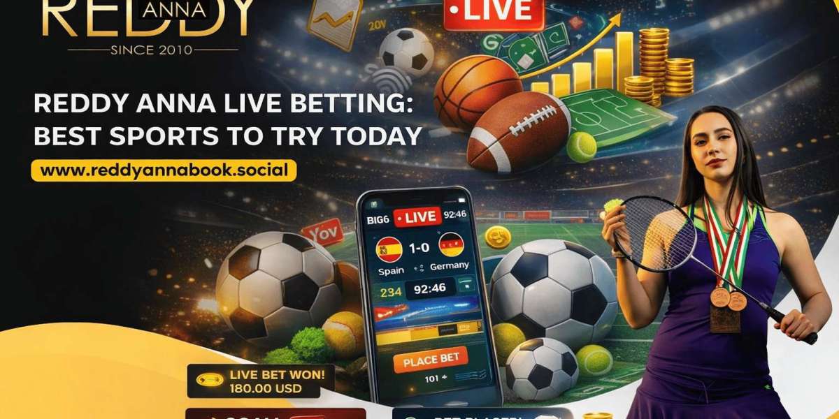 Reddy Anna Live Betting: Best Sports to Try Today
