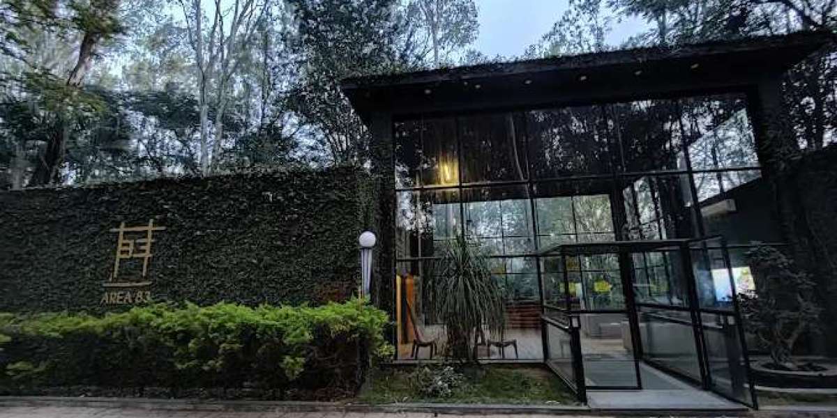 How to Plan a Fun-Filled Group Outing at Area83