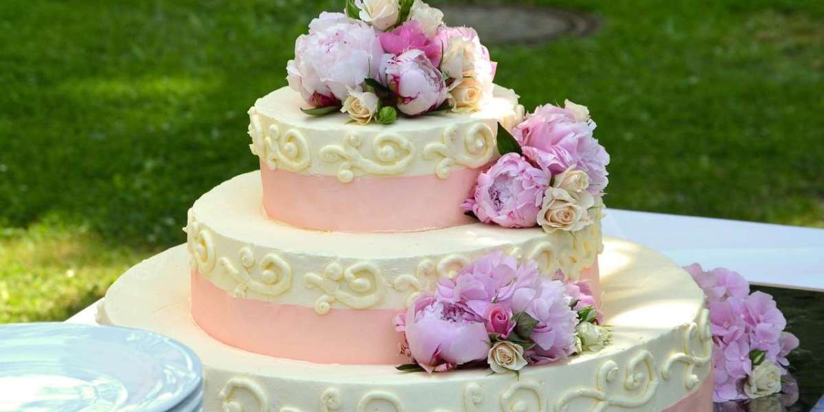 Order Holi Gifts Online – Send Love, Colors & Festive Cheer Effortlessly