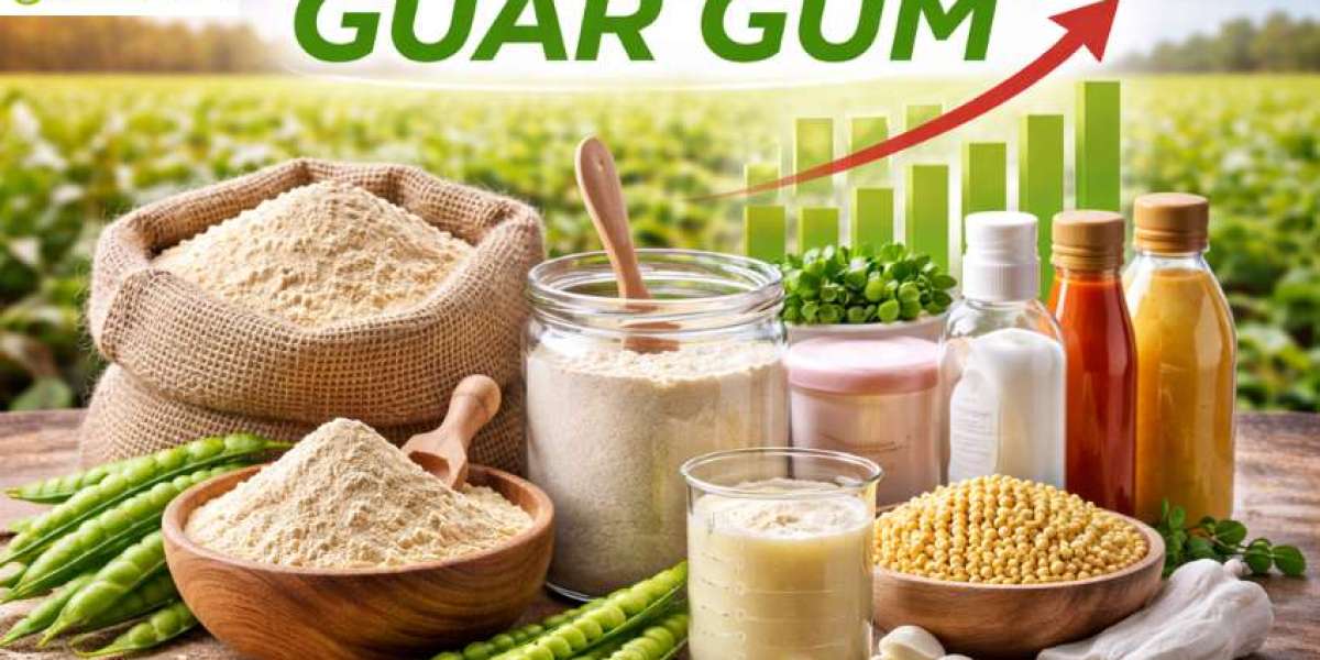 Guar Gum Prices: Latest Market Trends, Supply Dynamics, and Forecast Outlook 2026