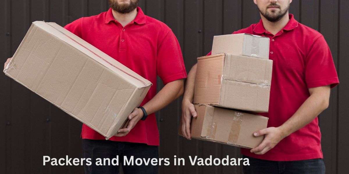 Professional Packers and Movers in Vadodara – Blue Sky Movers